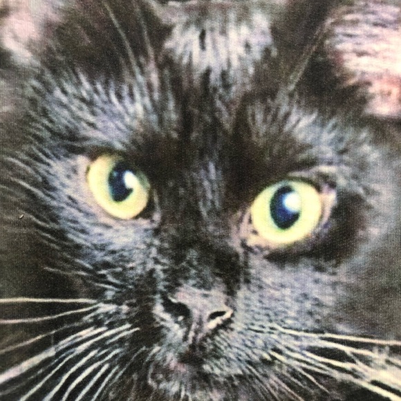 Crazy Cat Lady T-shirt - Picture 3 of 7